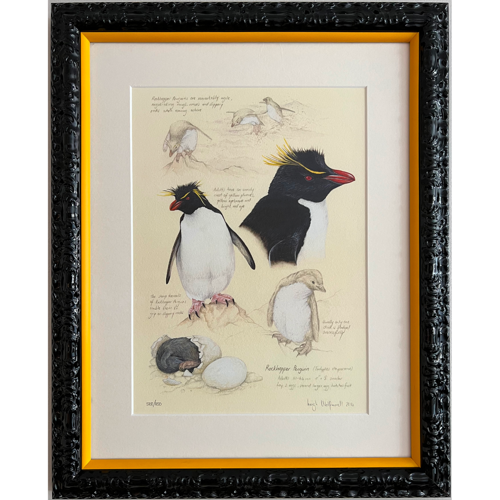 A custom frame with archival matting.