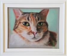 Cat picture in a frame