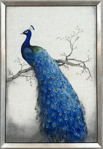 Canvas art of a peacock in a minimalist frame.