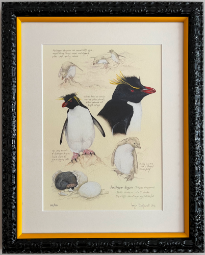 Informational poster about penguins in a textured frame.